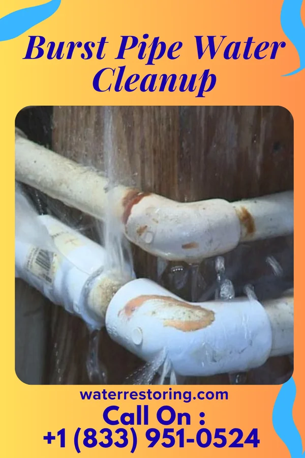 Burst Pipe Water Cleanup in McGaheysville, VA