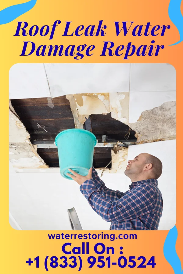 Roof Leak Water Damage Repair in McGaheysville, VA