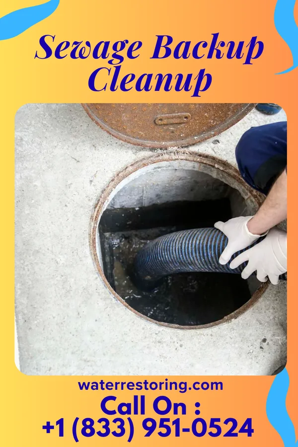 Sewage Backup Cleanup in McGaheysville, VA