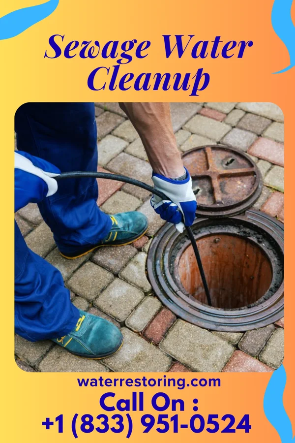 Sewage Water Cleanup in McGaheysville, VA